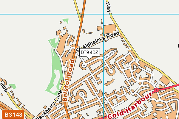 DT9 4DZ map - OS VectorMap District (Ordnance Survey) DT9 4DZ map - OS VectorMap District (Ordnance Survey)