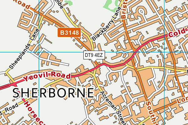 DT9 4EZ map - OS VectorMap District (Ordnance Survey) DT9 4EZ map - OS VectorMap District (Ordnance Survey)