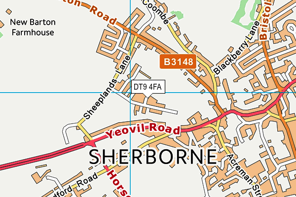 DT9 4FA map - OS VectorMap District (Ordnance Survey) DT9 4FA map - OS VectorMap District (Ordnance Survey)