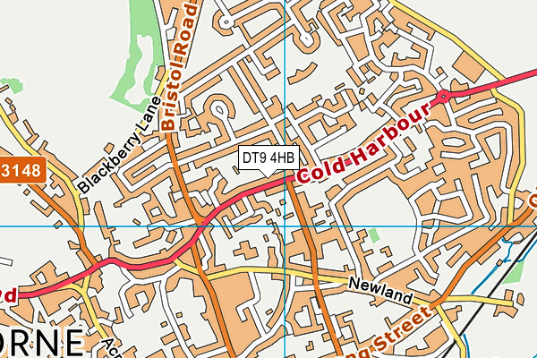 DT9 4HB map - OS VectorMap District (Ordnance Survey) DT9 4HB map - OS VectorMap District (Ordnance Survey)