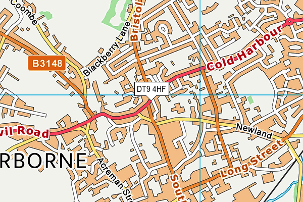 DT9 4HF map - OS VectorMap District (Ordnance Survey) DT9 4HF map - OS VectorMap District (Ordnance Survey)