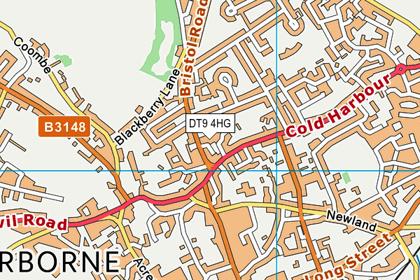 DT9 4HG map - OS VectorMap District (Ordnance Survey)