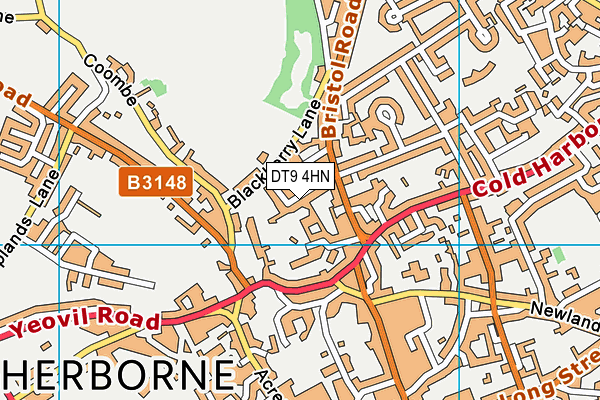 DT9 4HN map - OS VectorMap District (Ordnance Survey)