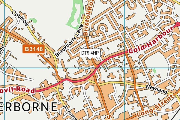 DT9 4HP map - OS VectorMap District (Ordnance Survey) DT9 4HP map - OS VectorMap District (Ordnance Survey)