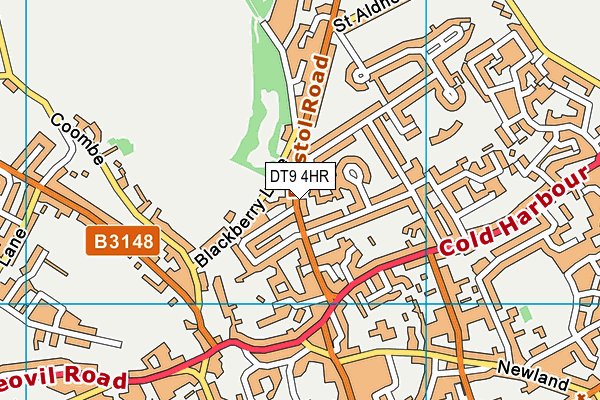 DT9 4HR map - OS VectorMap District (Ordnance Survey) DT9 4HR map - OS VectorMap District (Ordnance Survey)