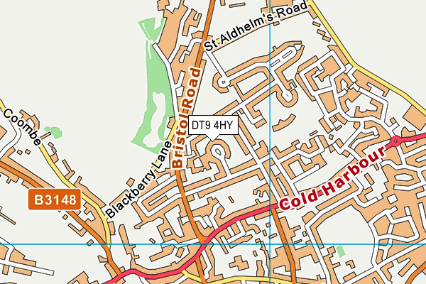 DT9 4HY map - OS VectorMap District (Ordnance Survey)