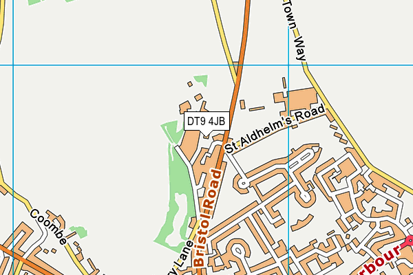 DT9 4JB map - OS VectorMap District (Ordnance Survey) DT9 4JB map - OS VectorMap District (Ordnance Survey)