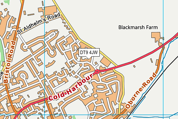 DT9 4JW map - OS VectorMap District (Ordnance Survey) DT9 4JW map - OS VectorMap District (Ordnance Survey)