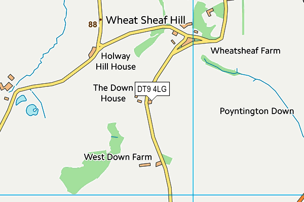 DT9 4LG map - OS VectorMap District (Ordnance Survey)