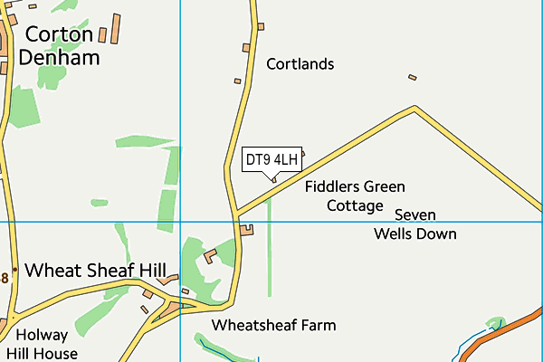 DT9 4LH map - OS VectorMap District (Ordnance Survey)