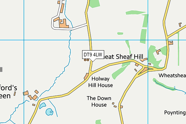DT9 4LW map - OS VectorMap District (Ordnance Survey) DT9 4LW map - OS VectorMap District (Ordnance Survey)