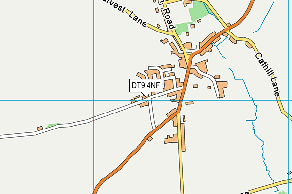 DT9 4NF map - OS VectorMap District (Ordnance Survey) DT9 4NF map - OS VectorMap District (Ordnance Survey)
