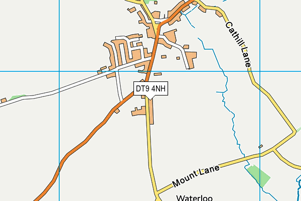 DT9 4NH map - OS VectorMap District (Ordnance Survey) DT9 4NH map - OS VectorMap District (Ordnance Survey)