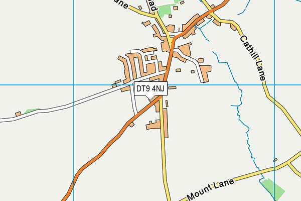 DT9 4NJ map - OS VectorMap District (Ordnance Survey) DT9 4NJ map - OS VectorMap District (Ordnance Survey)