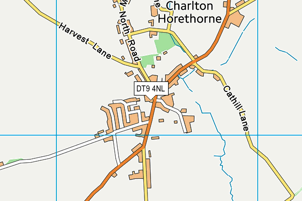 DT9 4NL map - OS VectorMap District (Ordnance Survey) DT9 4NL map - OS VectorMap District (Ordnance Survey)