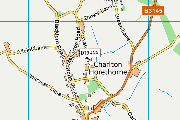 DT9 4NX map - OS VectorMap District (Ordnance Survey) DT9 4NX map - OS VectorMap District (Ordnance Survey)
