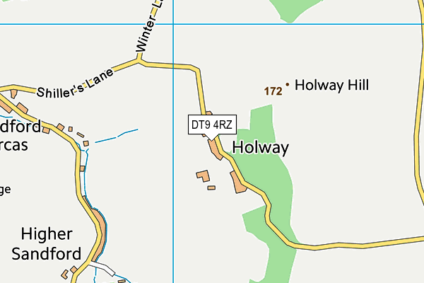DT9 4RZ map - OS VectorMap District (Ordnance Survey) DT9 4RZ map - OS VectorMap District (Ordnance Survey)