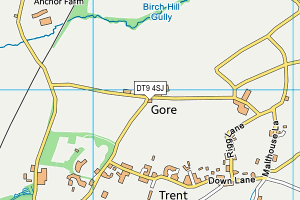 DT9 4SJ map - OS VectorMap District (Ordnance Survey)
