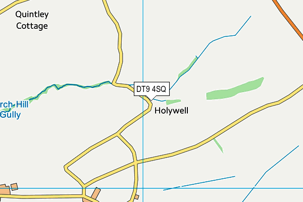 DT9 4SQ map - OS VectorMap District (Ordnance Survey) DT9 4SQ map - OS VectorMap District (Ordnance Survey)