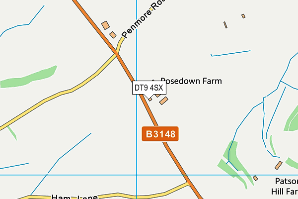 DT9 4SX map - OS VectorMap District (Ordnance Survey) DT9 4SX map - OS VectorMap District (Ordnance Survey)