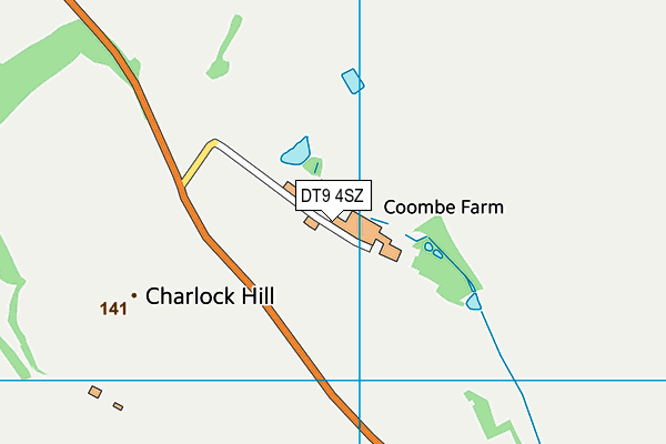 DT9 4SZ map - OS VectorMap District (Ordnance Survey) DT9 4SZ map - OS VectorMap District (Ordnance Survey)