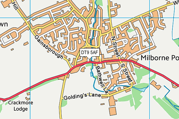 DT9 5AF map - OS VectorMap District (Ordnance Survey) DT9 5AF map - OS VectorMap District (Ordnance Survey)