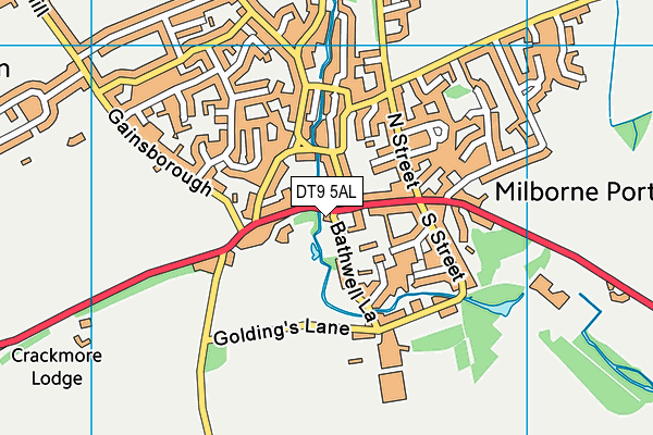 DT9 5AL map - OS VectorMap District (Ordnance Survey) DT9 5AL map - OS VectorMap District (Ordnance Survey)