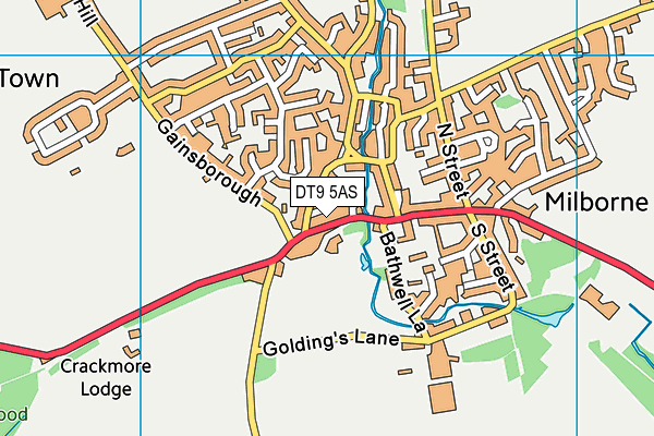 DT9 5AS map - OS VectorMap District (Ordnance Survey) DT9 5AS map - OS VectorMap District (Ordnance Survey)