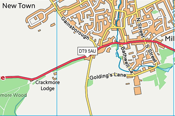DT9 5AU map - OS VectorMap District (Ordnance Survey) DT9 5AU map - OS VectorMap District (Ordnance Survey)