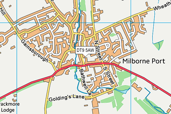 DT9 5AW map - OS VectorMap District (Ordnance Survey) DT9 5AW map - OS VectorMap District (Ordnance Survey)