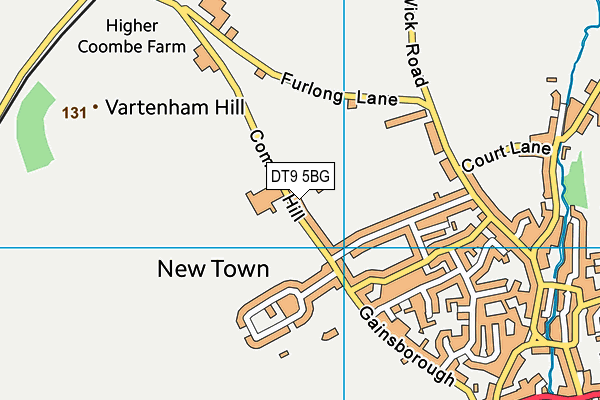 DT9 5BG map - OS VectorMap District (Ordnance Survey) DT9 5BG map - OS VectorMap District (Ordnance Survey)