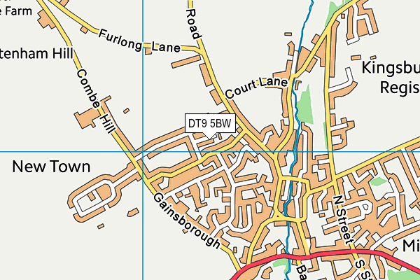 DT9 5BW map - OS VectorMap District (Ordnance Survey) DT9 5BW map - OS VectorMap District (Ordnance Survey)