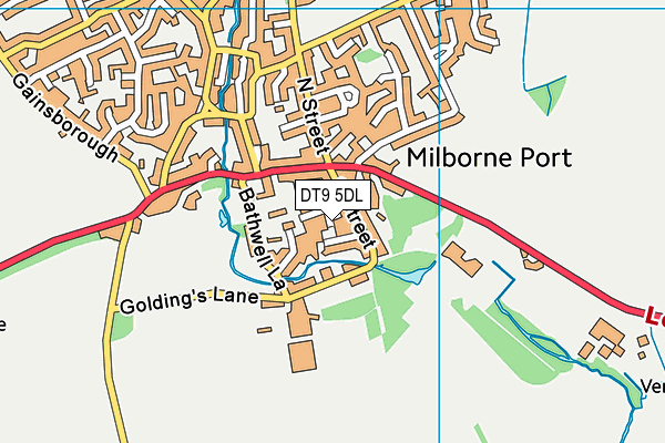 DT9 5DL map - OS VectorMap District (Ordnance Survey) DT9 5DL map - OS VectorMap District (Ordnance Survey)