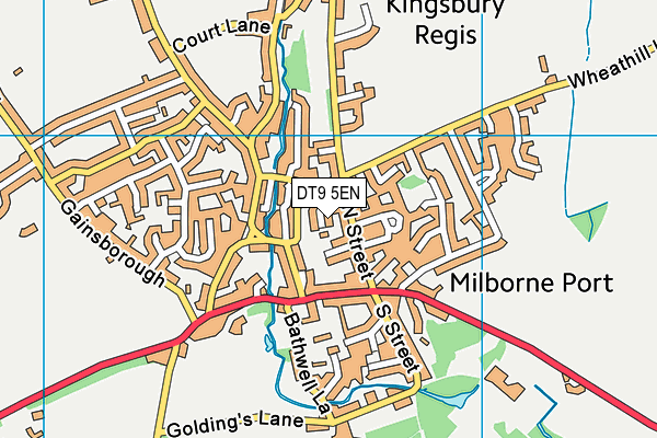 DT9 5EN map - OS VectorMap District (Ordnance Survey) DT9 5EN map - OS VectorMap District (Ordnance Survey)