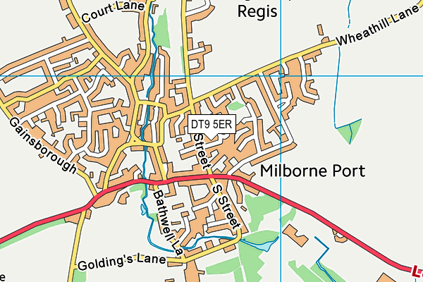DT9 5ER map - OS VectorMap District (Ordnance Survey) DT9 5ER map - OS VectorMap District (Ordnance Survey)