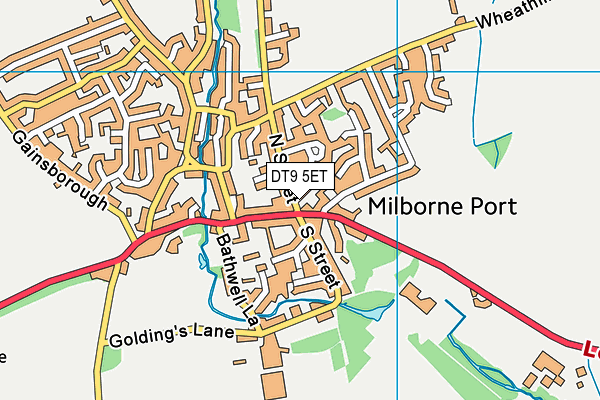 DT9 5ET map - OS VectorMap District (Ordnance Survey) DT9 5ET map - OS VectorMap District (Ordnance Survey)