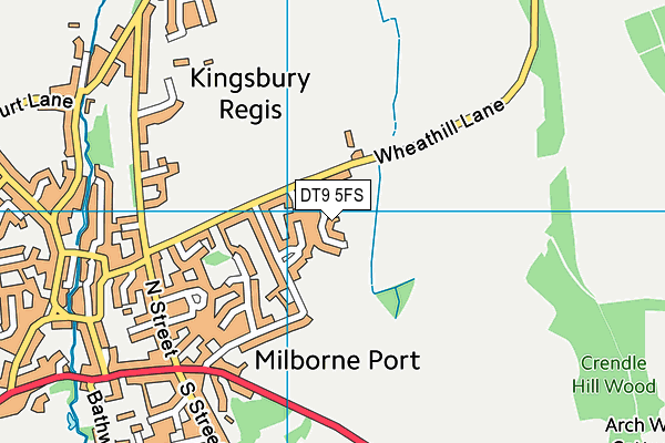 DT9 5FS map - OS VectorMap District (Ordnance Survey) DT9 5FS map - OS VectorMap District (Ordnance Survey)