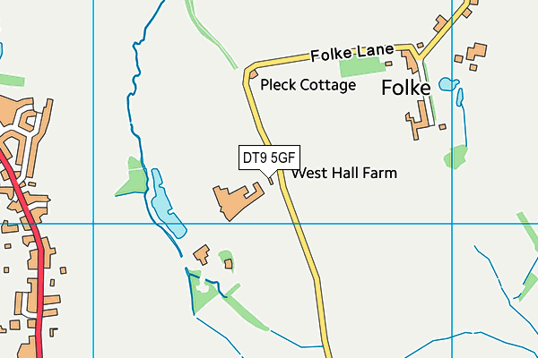 DT9 5GF map - OS VectorMap District (Ordnance Survey) DT9 5GF map - OS VectorMap District (Ordnance Survey)