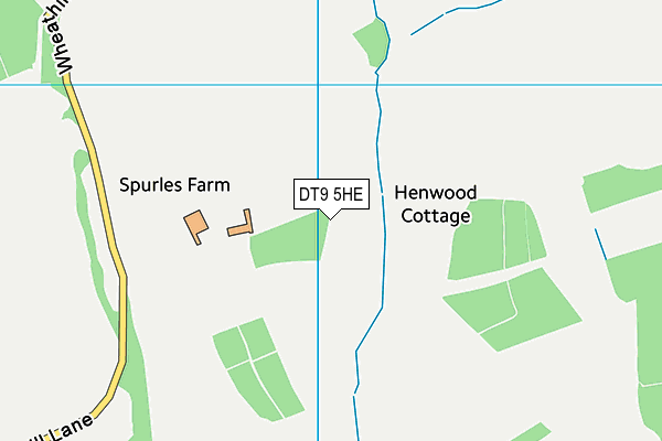 DT9 5HE map - OS VectorMap District (Ordnance Survey) DT9 5HE map - OS VectorMap District (Ordnance Survey)