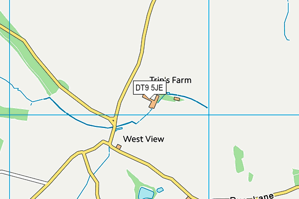 DT9 5JE map - OS VectorMap District (Ordnance Survey) DT9 5JE map - OS VectorMap District (Ordnance Survey)