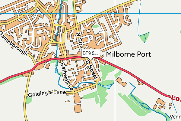 DT9 5JJ map - OS VectorMap District (Ordnance Survey) DT9 5JJ map - OS VectorMap District (Ordnance Survey)