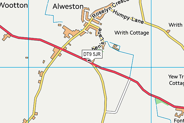 DT9 5JR map - OS VectorMap District (Ordnance Survey) DT9 5JR map - OS VectorMap District (Ordnance Survey)