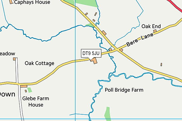 DT9 5JU map - OS VectorMap District (Ordnance Survey) DT9 5JU map - OS VectorMap District (Ordnance Survey)