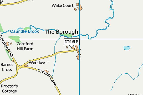 DT9 5LB map - OS VectorMap District (Ordnance Survey) DT9 5LB map - OS VectorMap District (Ordnance Survey)
