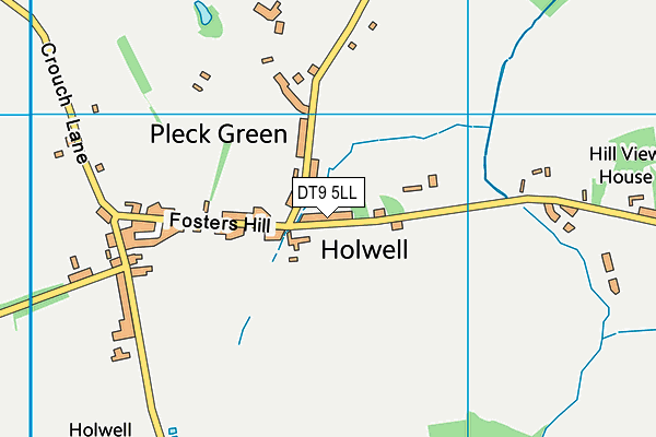 DT9 5LL map - OS VectorMap District (Ordnance Survey) DT9 5LL map - OS VectorMap District (Ordnance Survey)