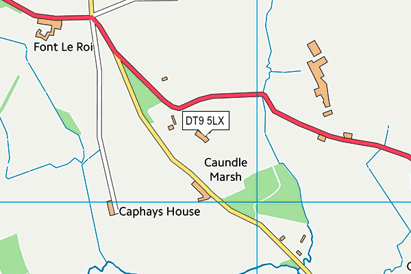 DT9 5LX map - OS VectorMap District (Ordnance Survey) DT9 5LX map - OS VectorMap District (Ordnance Survey)