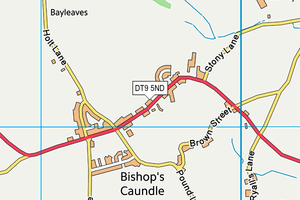 DT9 5ND map - OS VectorMap District (Ordnance Survey) DT9 5ND map - OS VectorMap District (Ordnance Survey)