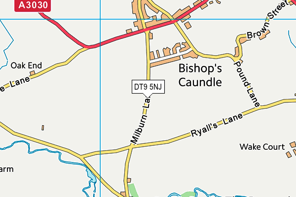 DT9 5NJ map - OS VectorMap District (Ordnance Survey) DT9 5NJ map - OS VectorMap District (Ordnance Survey)