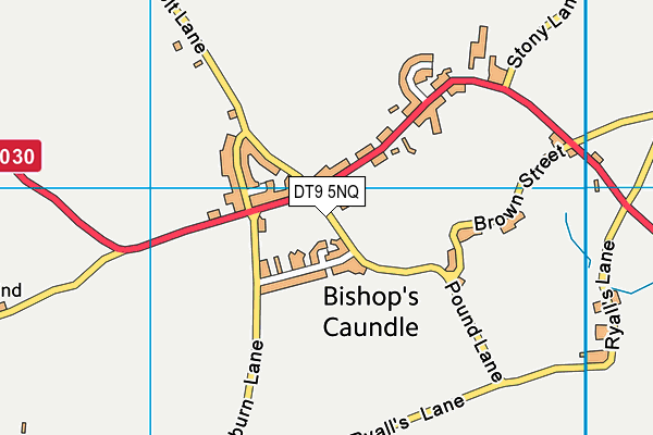 DT9 5NQ map - OS VectorMap District (Ordnance Survey) DT9 5NQ map - OS VectorMap District (Ordnance Survey)