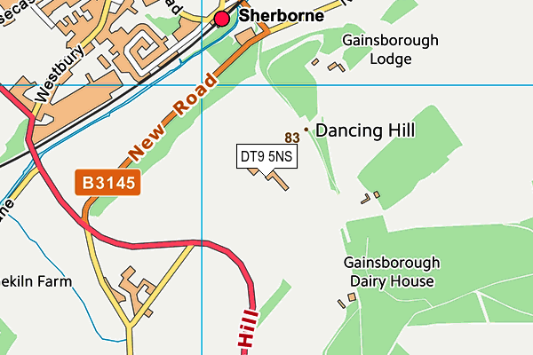DT9 5NS map - OS VectorMap District (Ordnance Survey)